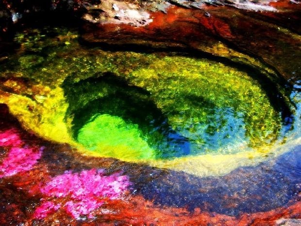 Каньо Кристалес – самая красивая река на Земле