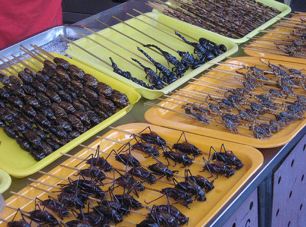 Уличный фаст-фуд со всего мира