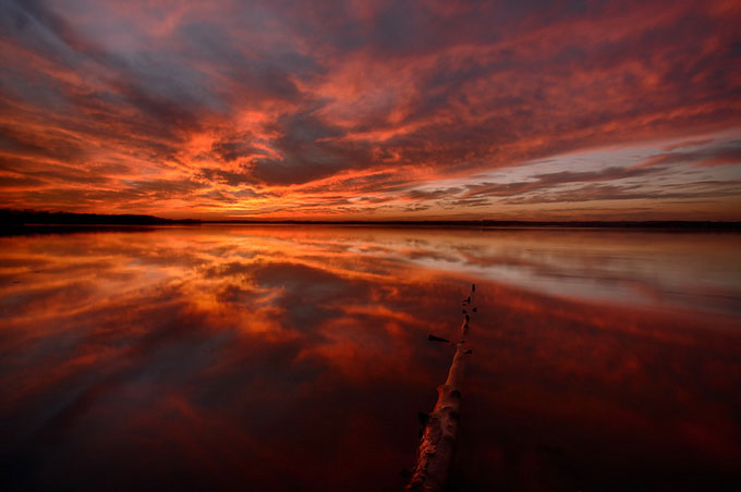 Пейзажи Йена Планта