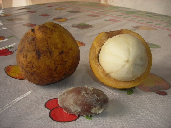 Экзотические фрукты, о которых вы ничего не знали