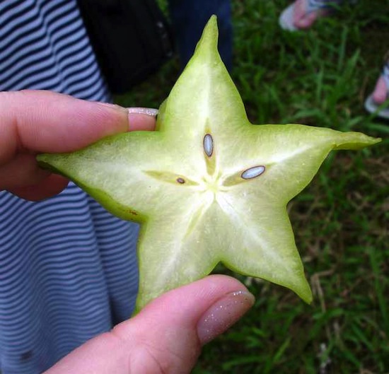 Экзотические фрукты, о которых вы ничего не знали