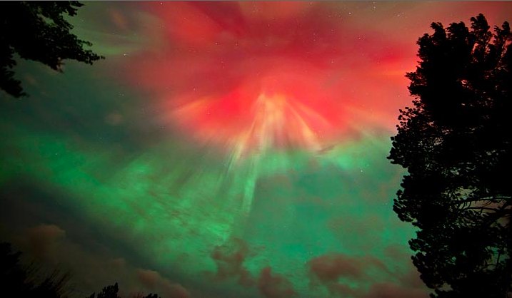 Красота этого мира