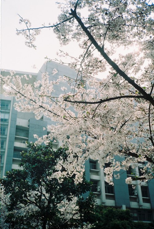 Красота этого мира