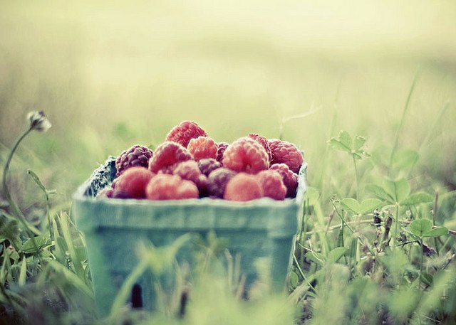 Красота этого мира