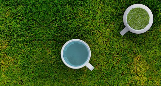 Креативщики вдохновлённые природой