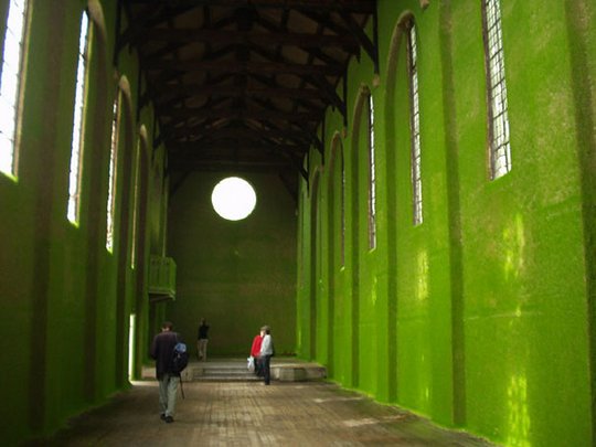 Креативщики вдохновлённые природой