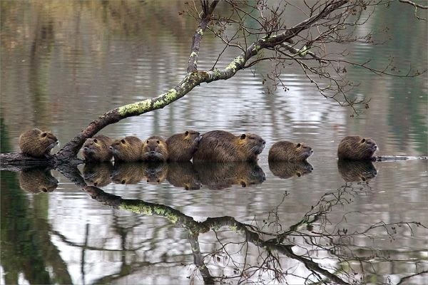 Зарядка позитивом на весь день!