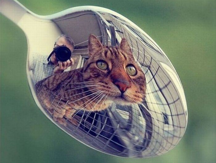 Зарядка позитивом на весь день!