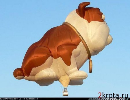 Самые необычные воздушные шары Самые необычные воздушные шары