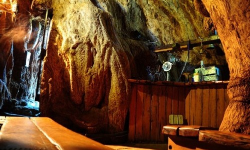 Добро пожаловать в баобаб ресторан в дереве 