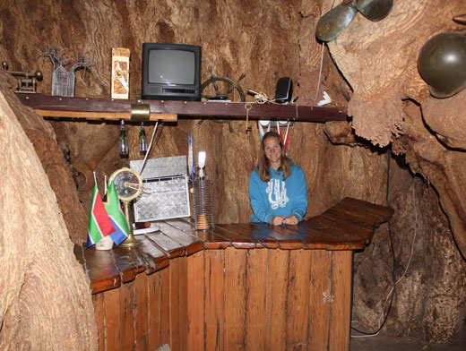 Добро пожаловать в баобаб ресторан в дереве 