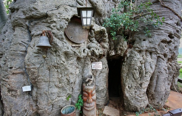 Добро пожаловать в баобаб ресторан в дереве 