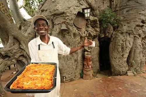 Добро пожаловать в баобаб ресторан в дереве 