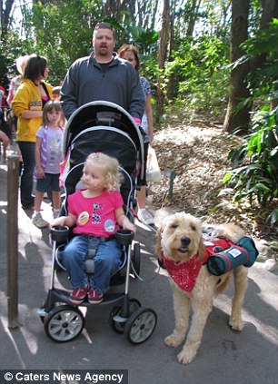 Собака спасатель девочки, мистер Гиббс