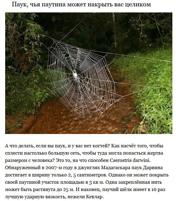 Пугающие создания, которые ранее были неизвестны ученым