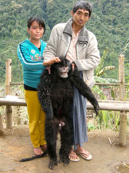 Пугающие создания, которые ранее были неизвестны ученым