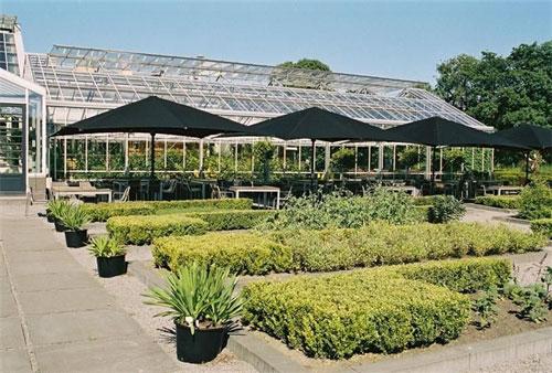 Необычные рестораны со всего мира