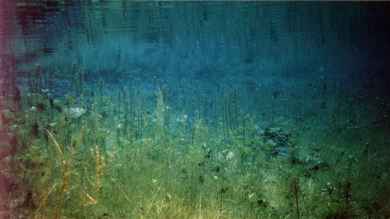 С августа по апрель красивый парк, а весной становится красивым озером