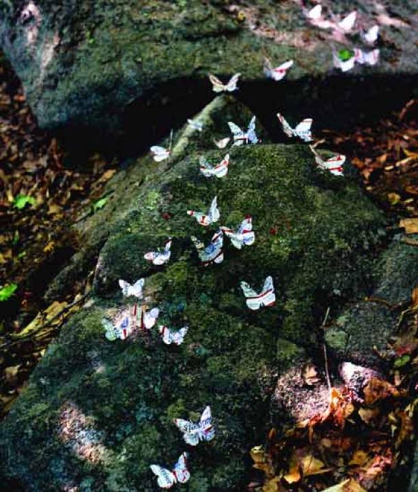 Бабочки из алюминиевых банок от Paul Villinski