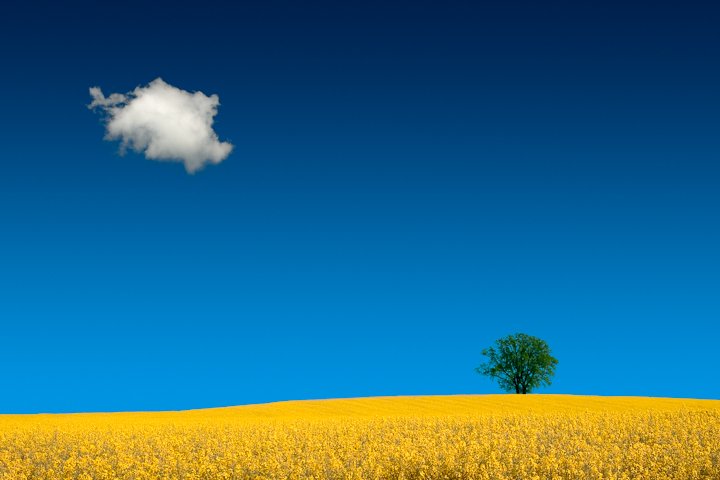 Городские пейзажи от Филиппа Клингера