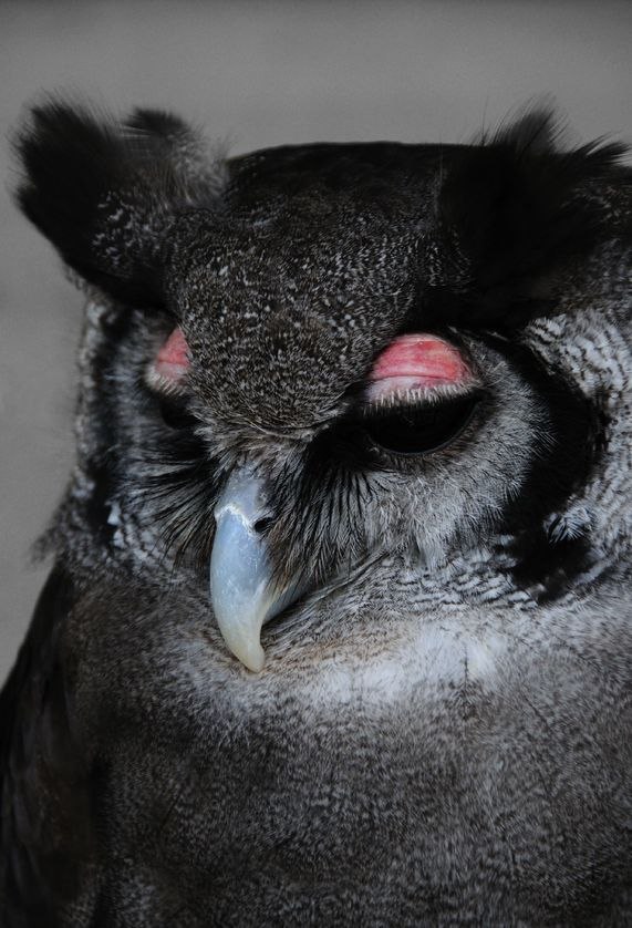 Красота в картинках