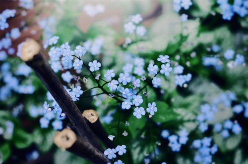 Красота в картинках