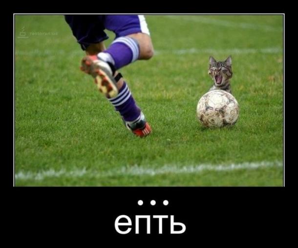 Весёлые картинки, позитив, смешное