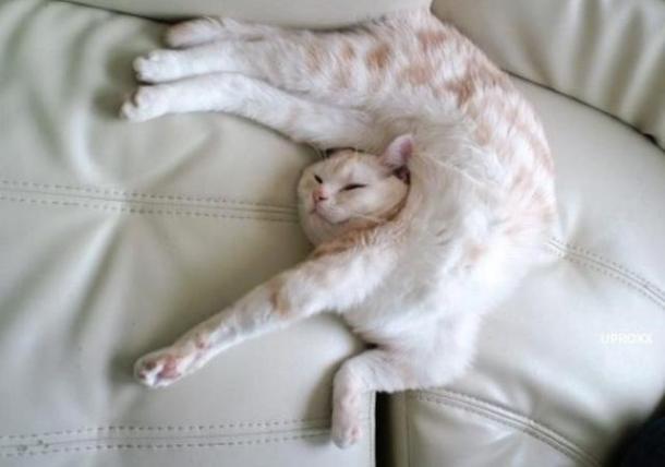 Весёлые картинки, позитив, смешное