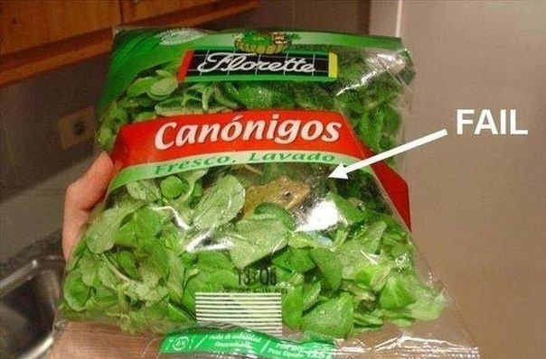 Весёлые картинки, позитив, смешное