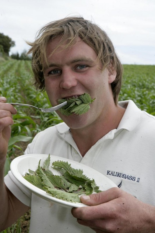 Конкурсы на скоростное поедание