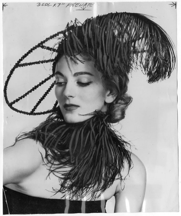 История восхождения 81-летней модели Кармен Делль'Орефайс