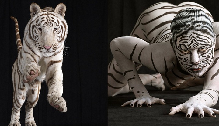 Звериный боди-арт от Lennette Newell