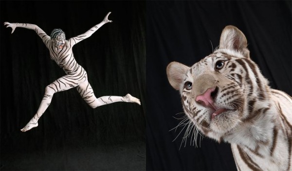 Звериный боди-арт от Lennette Newell