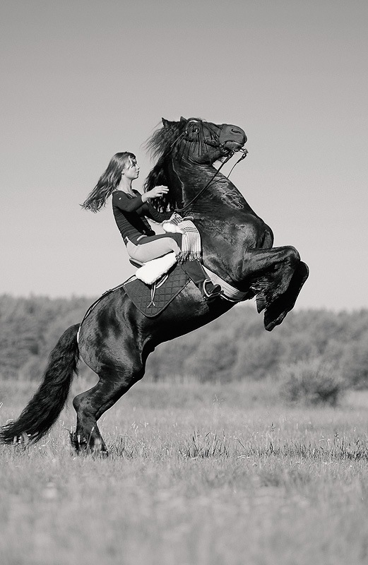 Девушка и лошадь