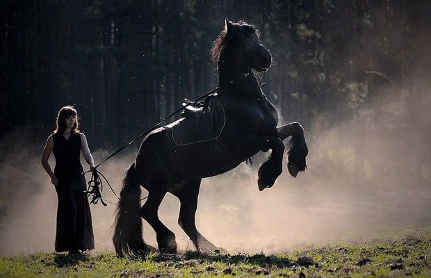 Девушка и лошадь