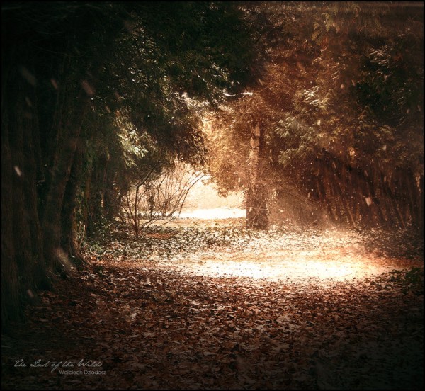 Красивые фото природы