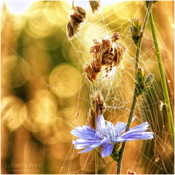 Красивые фото природы