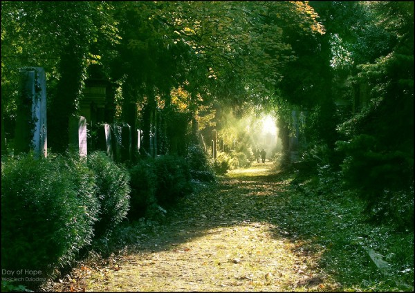 Красивые фото природы