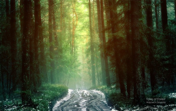 Красивые фото природы