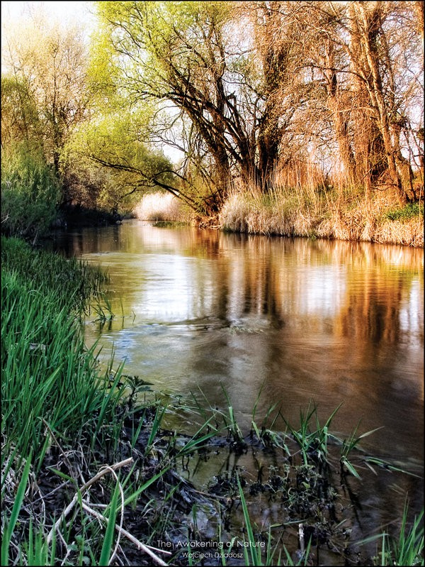 Красивые фото природы