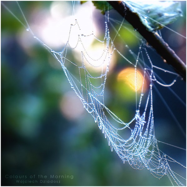 Красивые фото природы