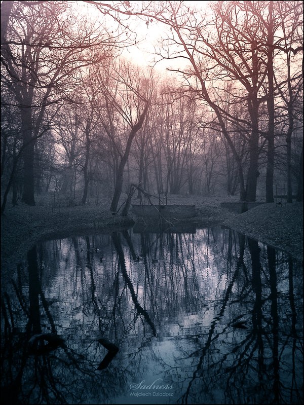 Красивые фото природы