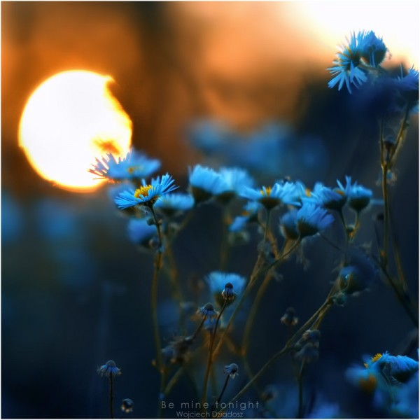 Красивые фото природы