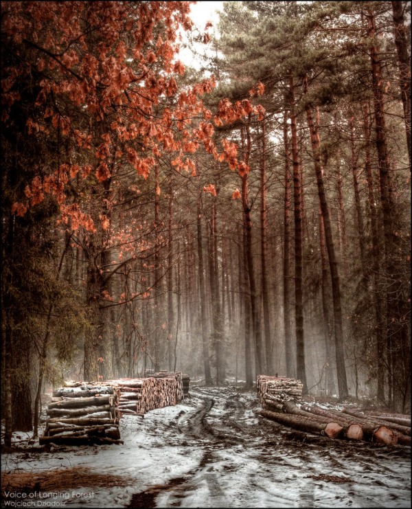 Красивые фото природы