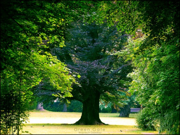 Красивые фото природы