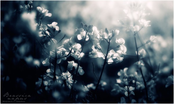 Красивые фото природы