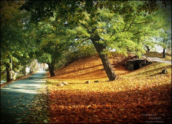 Красивые фото природы