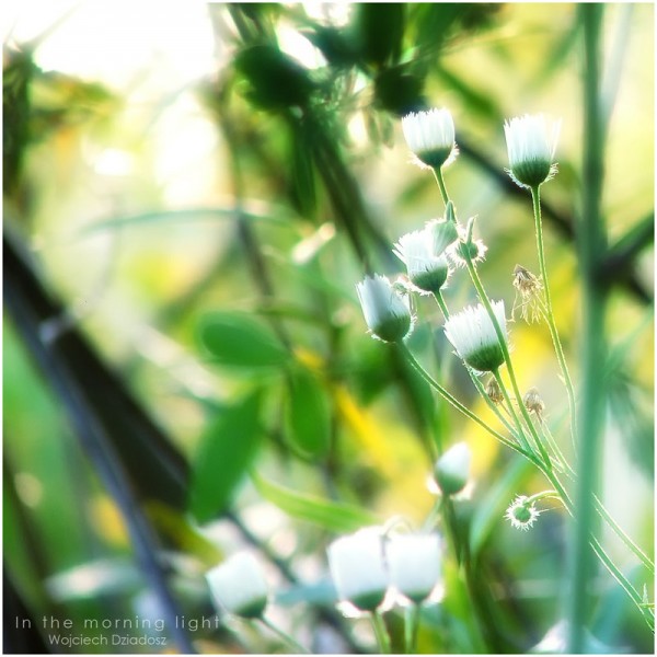 Красивые фото природы