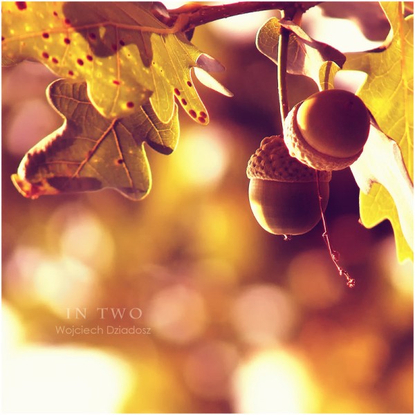 Красивые фото природы