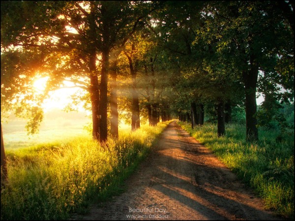 Красивые фото природы